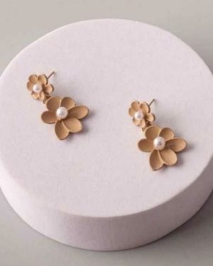 CARTERA DE ARETES $75