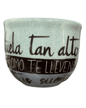 TAZOTA VUELA TAN ALTO COMO TE LLEVEN TUS SUEÑOS ARTILUGIOS CON DISEÑO $280