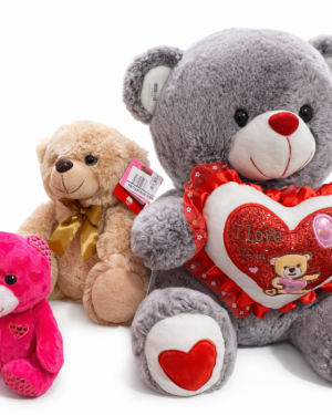 PELUCHE OSO colores  $120.00