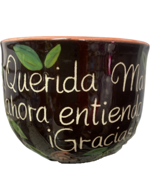 TAZOTA QUERIDA MAMA AHORA ENTIENDO TODO, GRACIAS! ARTILUGIOS $280